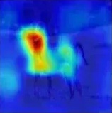 dog heatmap