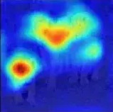 lion heatmap